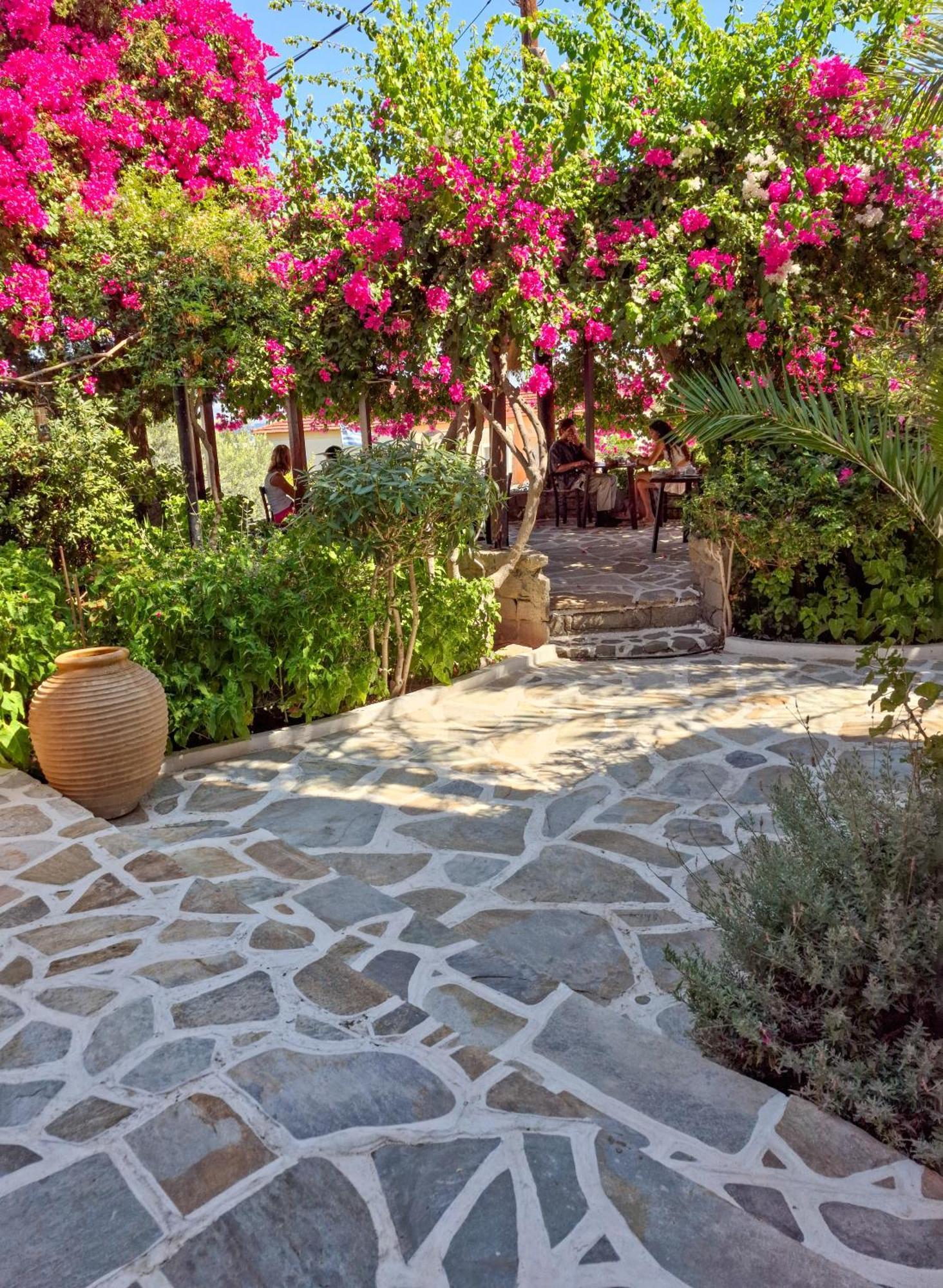 Vagia Traditional, Aegina Island Ngoại thất bức ảnh