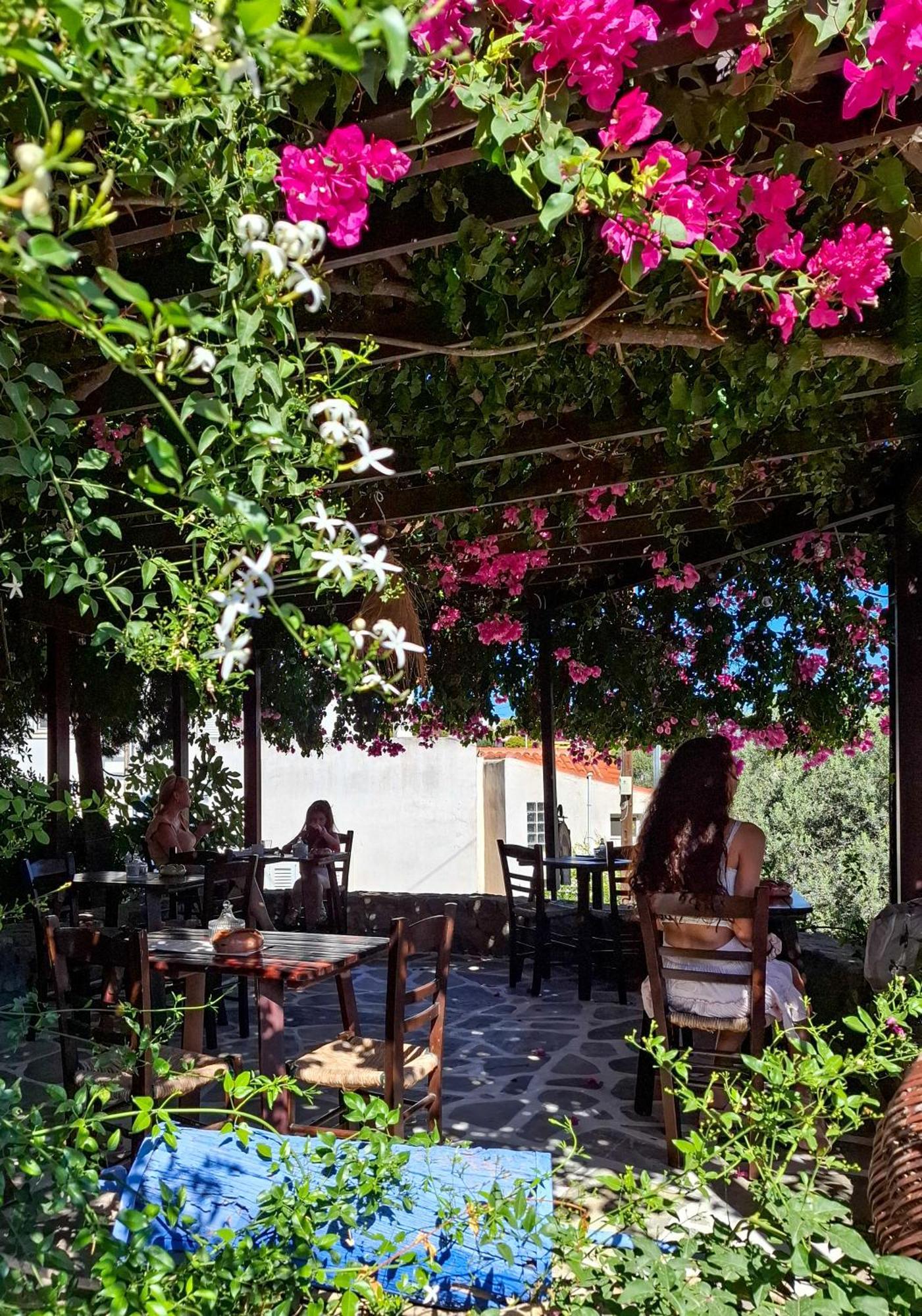 Vagia Traditional, Aegina Island Ngoại thất bức ảnh