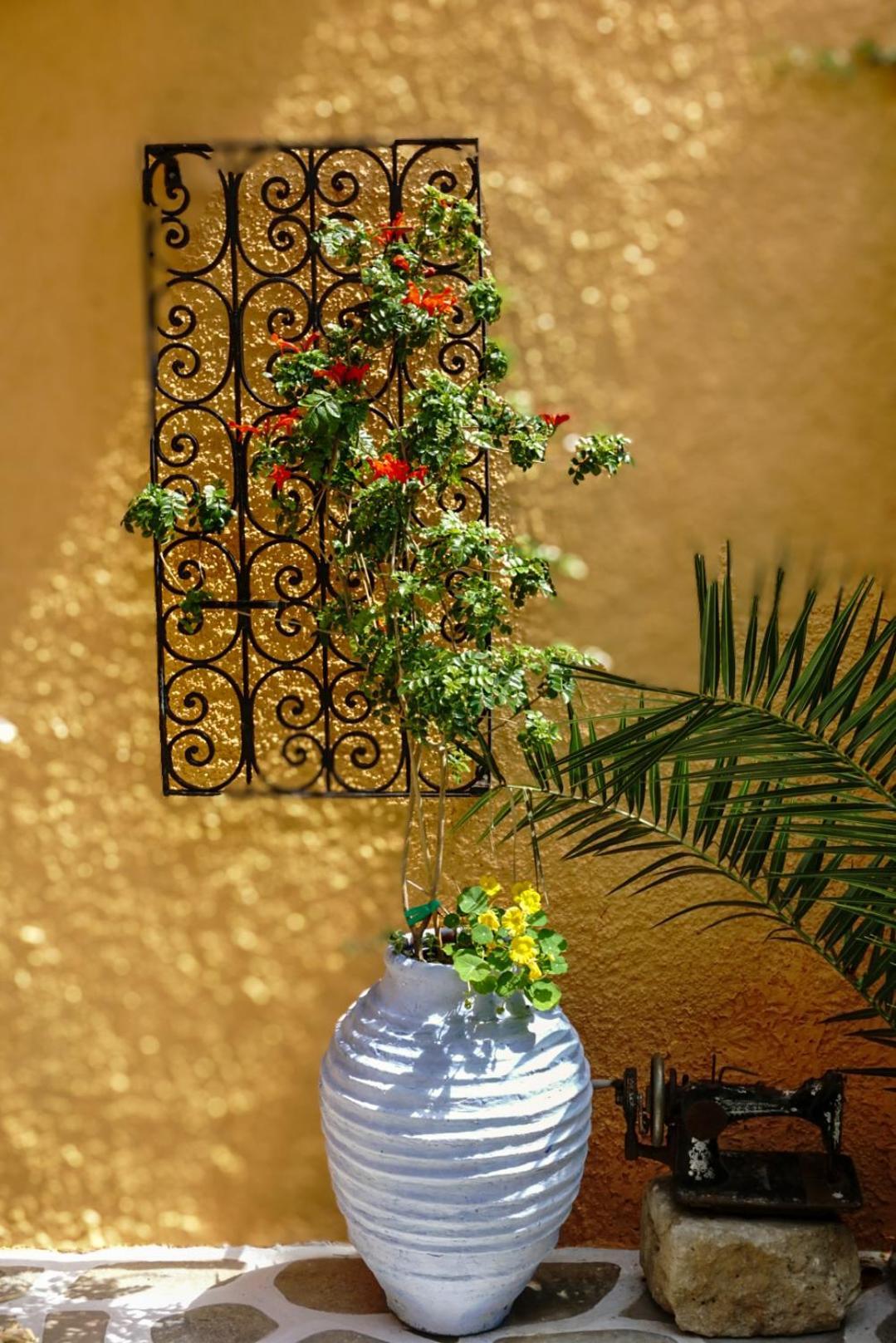 Vagia Traditional, Aegina Island Ngoại thất bức ảnh